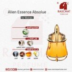 عطر الين اسنس ابسولو